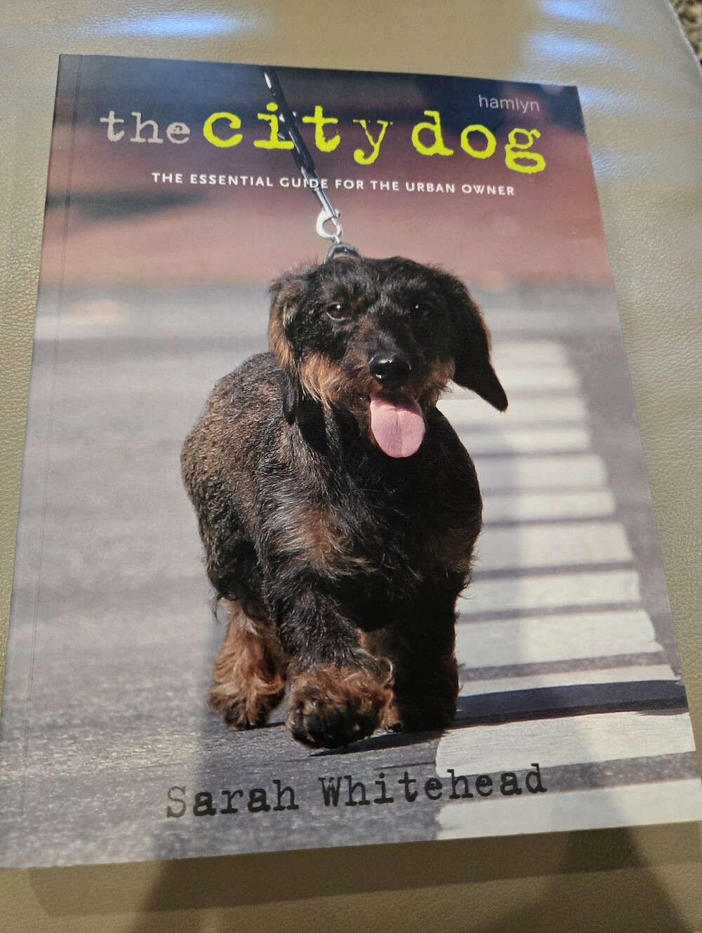 Hamlyn The City Dog by Sarah Whitehead - Pet Care Guide Book